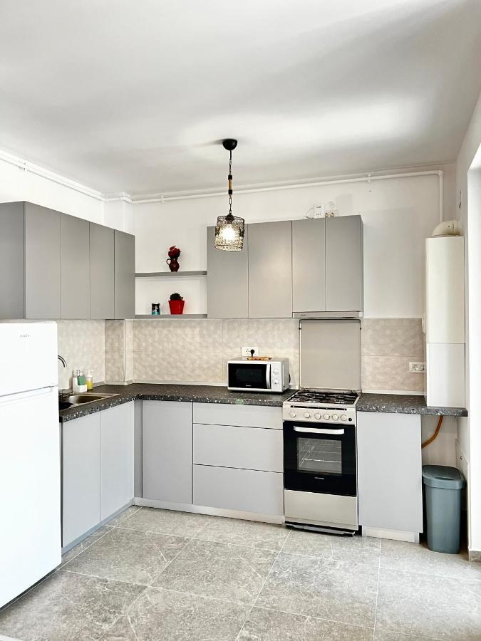 Apartment Mara 2 Timişoara Eksteriør billede